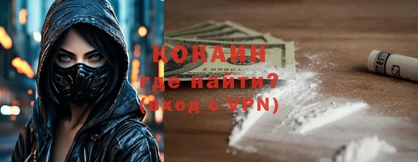 дурь Инта