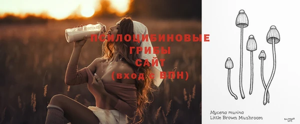 дурь Инта