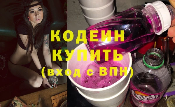 2c-b Инсар