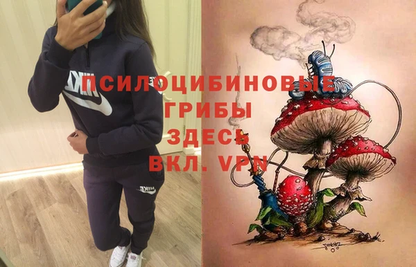 дурь Инта