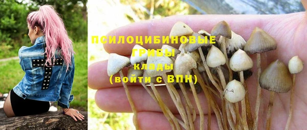 дурь Инта