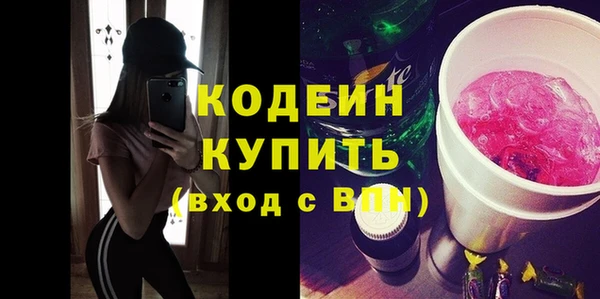 дурь Инта