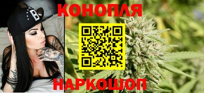 ALPHA PVP Гай