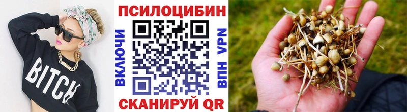 Галлюциногенные грибы Psilocybine cubensis Карпинск